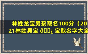 林姓龙宝男孩取名100分（2021林姓男宝 🌿 宝取名字大全）